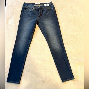 NWT Gap 1969 True Skinny Jeans, size 28